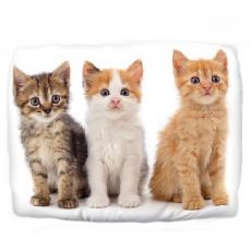 Coussin imprimé 3 chatons
